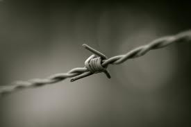 barbed wire
